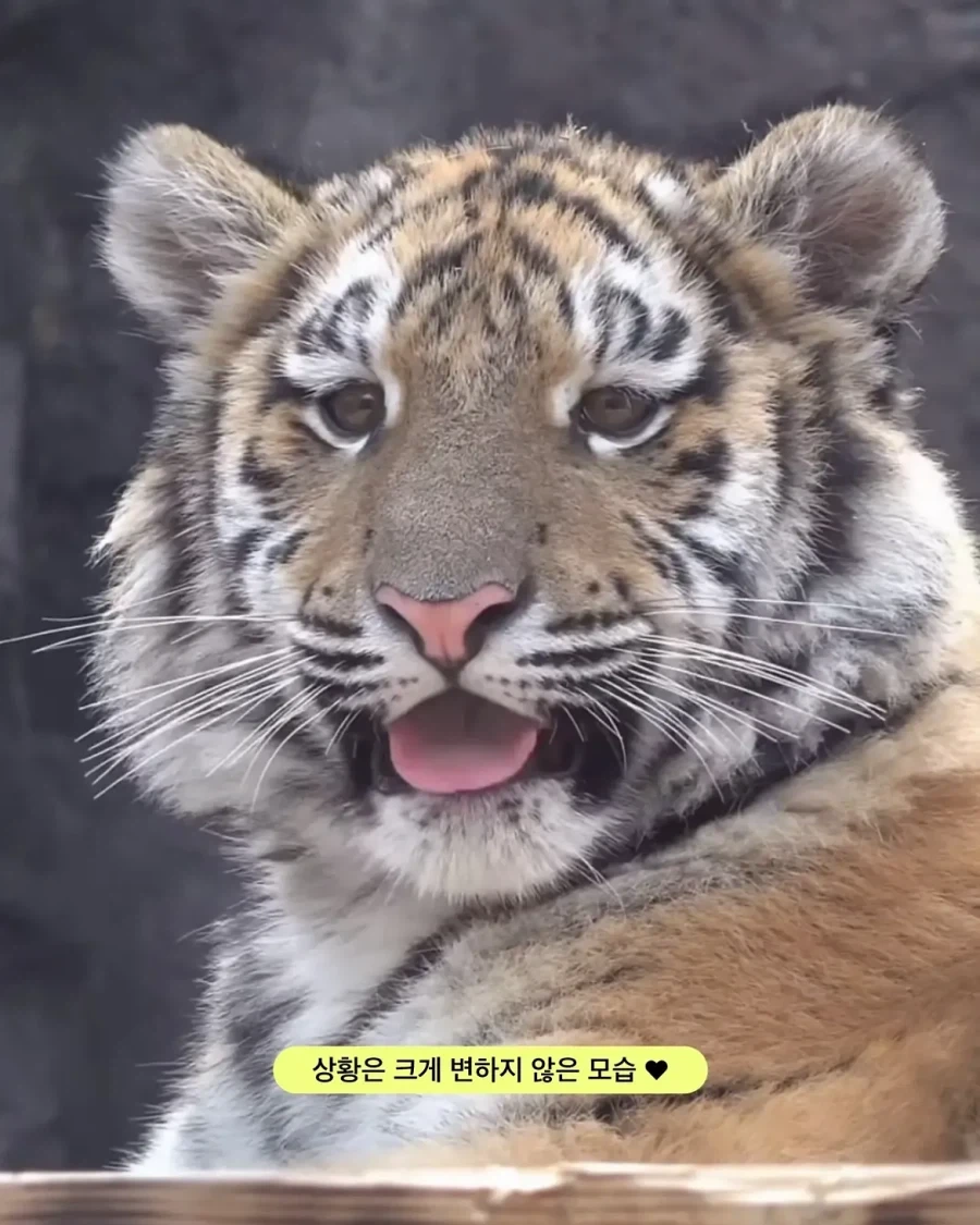 가족들과 다른 외모.jpg - 이미지 5