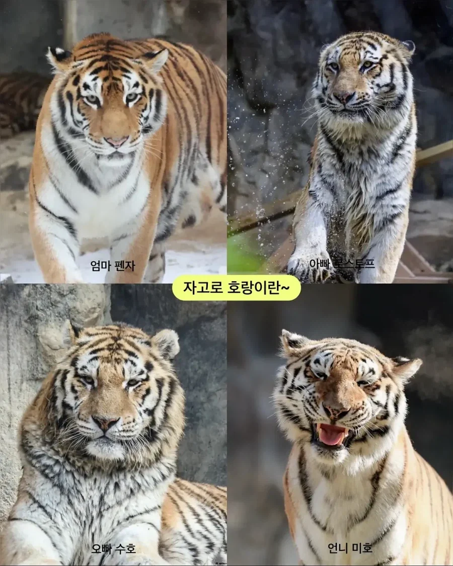 가족들과 다른 외모.jpg - 이미지 6