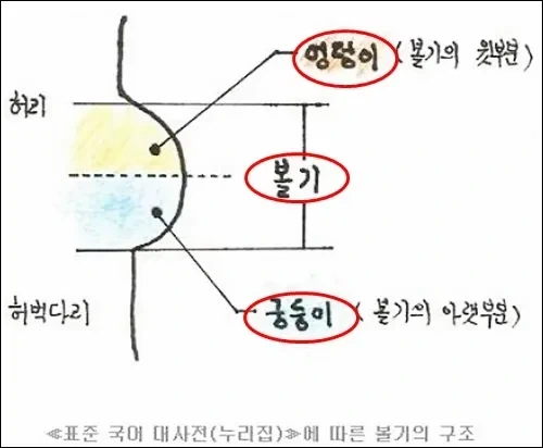 엉덩이와 궁둥이의 차이.jpg