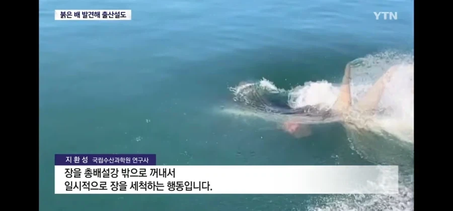 와 부캉이 진짜 관종 맞나봐 장기자랑까지 하네