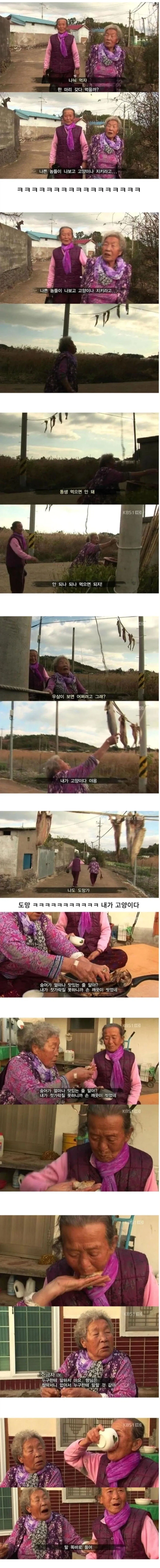 고양이가 생선 안 먹게 봐달라는 할머니