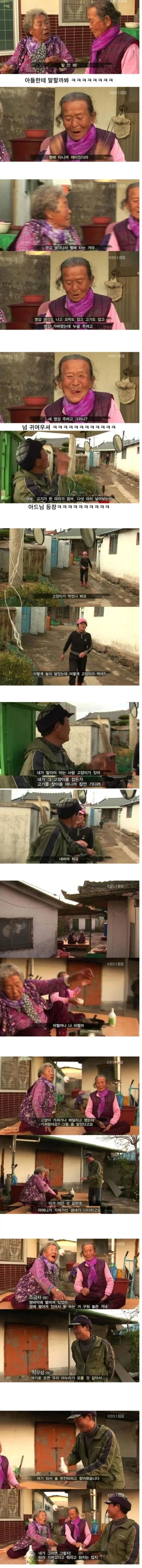 고양이가 생선 안 먹게 봐달라는 할머니 - 이미지 2