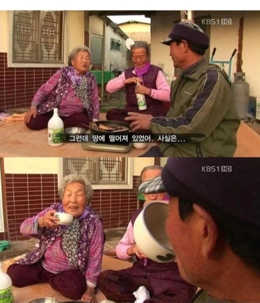 고양이가 생선 안 먹게 봐달라는 할머니 - 이미지 3