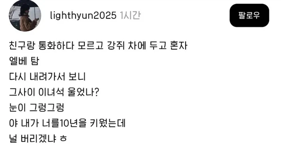 친구랑 통화하다가 강아지를 차에 두고 옴.
