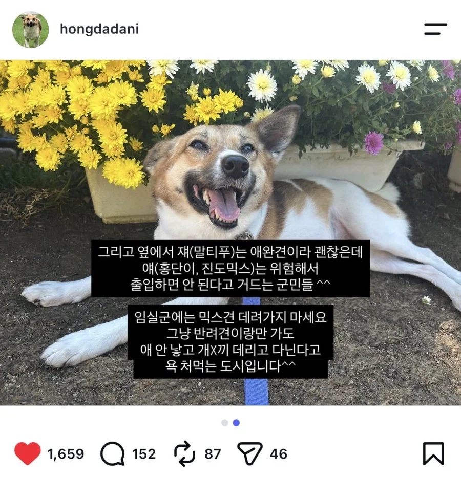 임실군에 강아지 데리고 가지 마세요^^ - 이미지 2