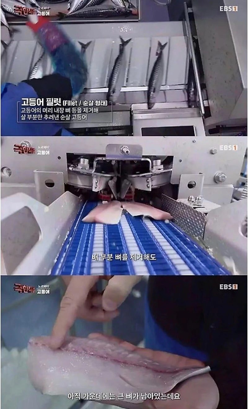 노르웨이 순살 고등어.jpg