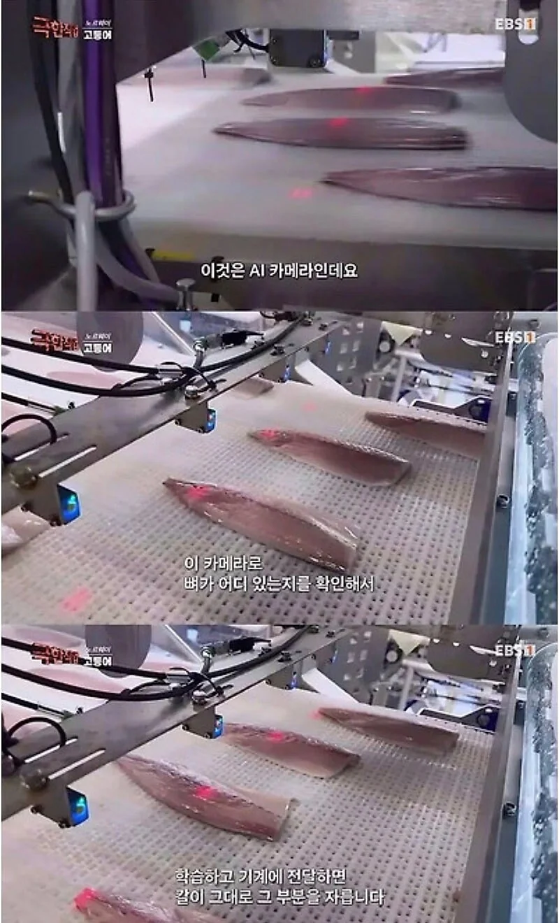 노르웨이 순살 고등어.jpg - 이미지 3