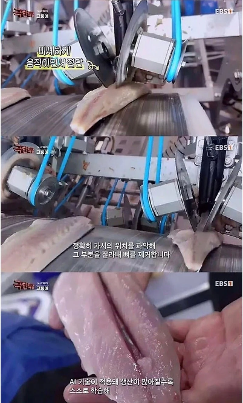 노르웨이 순살 고등어.jpg - 이미지 5