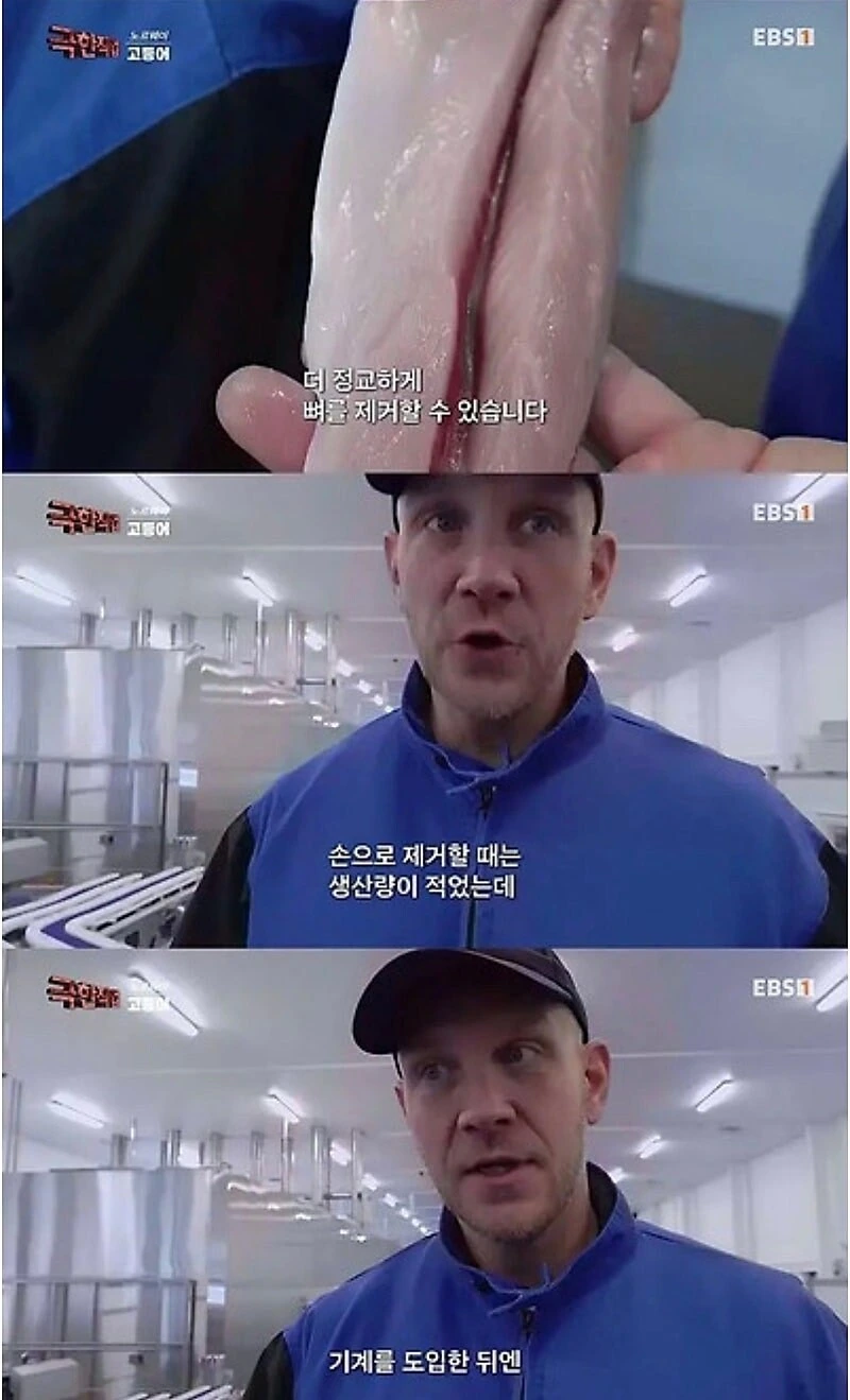 노르웨이 순살 고등어.jpg - 이미지 6