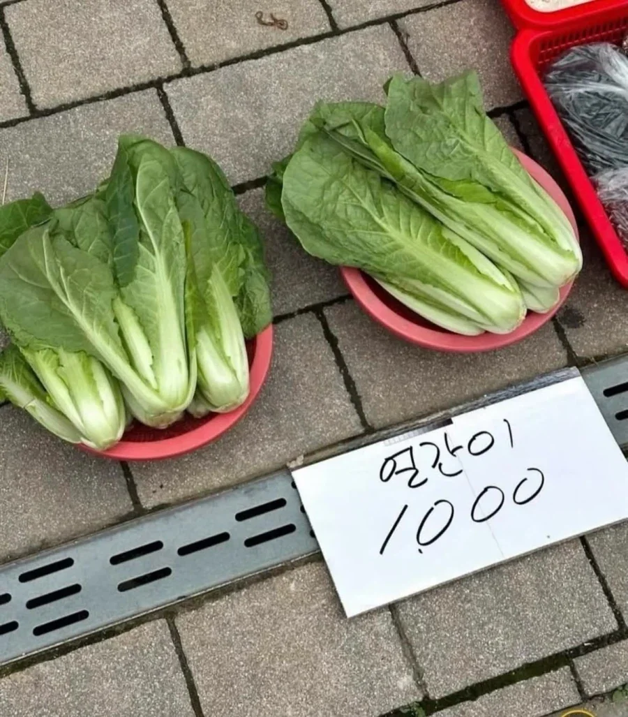 나한테 가격이 붙어있네