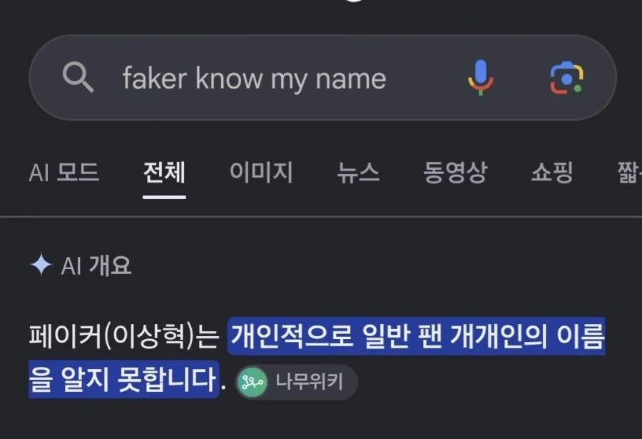 페이커 뮤비를 구글에 검색한 결과
