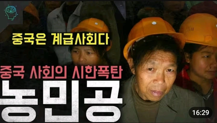 중국청년들이 죽어도 시골로 안가는이유