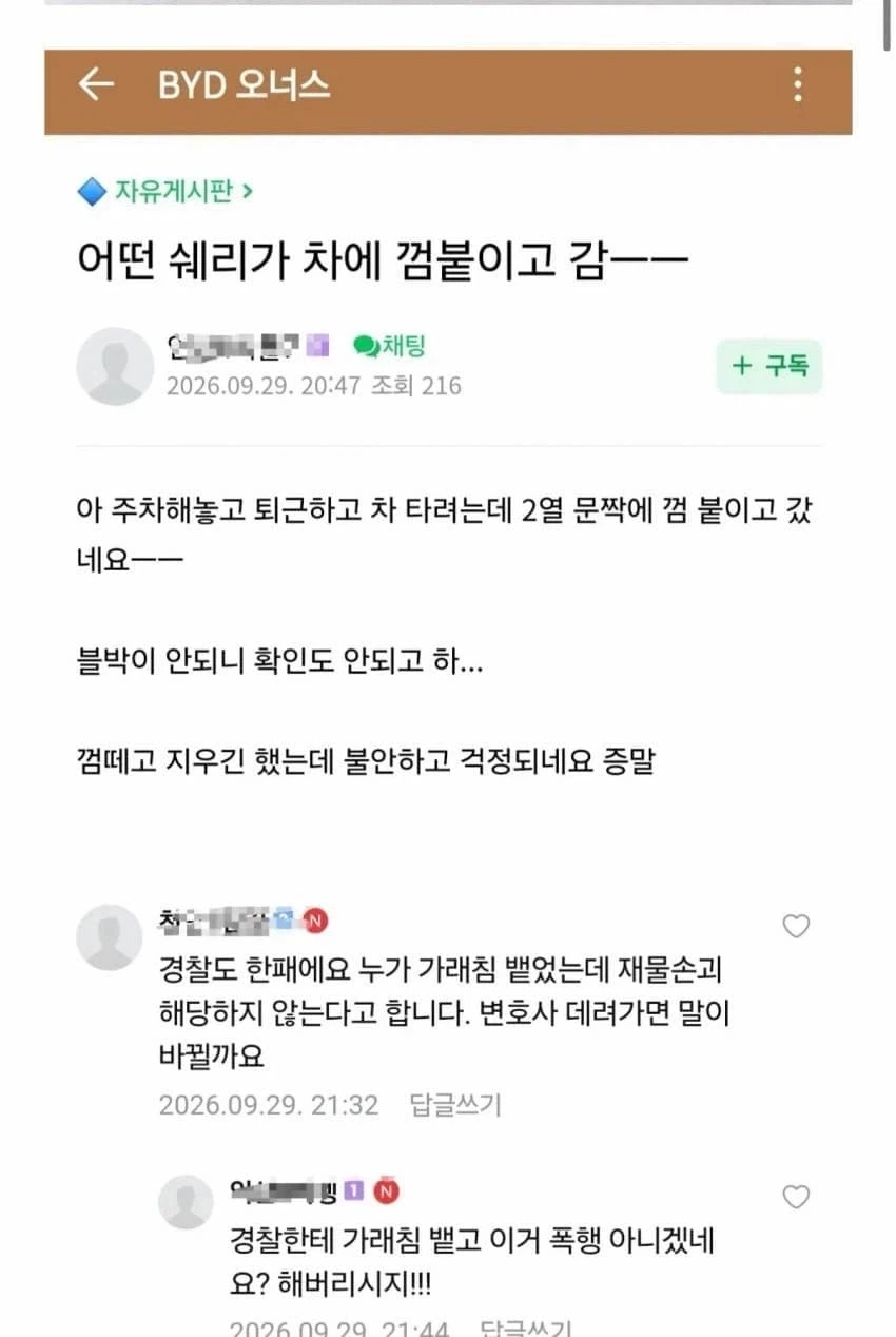 중국산(BYD) 자동차 사면 일어나는 일