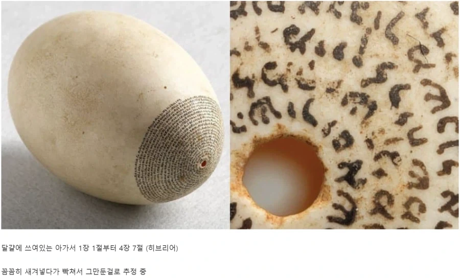 폴란드에서 발견된 유물.jpg