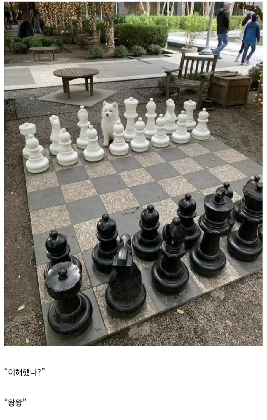 오직 자네만이 왕의 죽음을 감출수 있네.JPG - 이미지 2