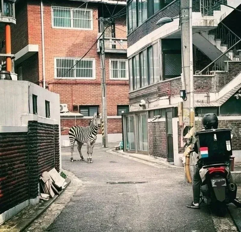 의외로 AI가 아닌 짤