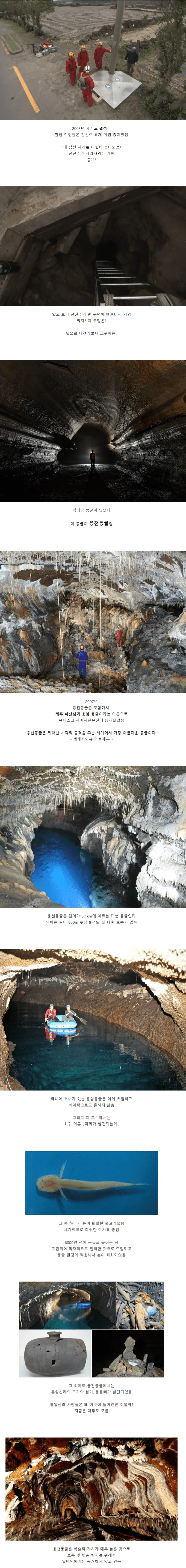 전신주 작업하다 발견한 동굴.jpg