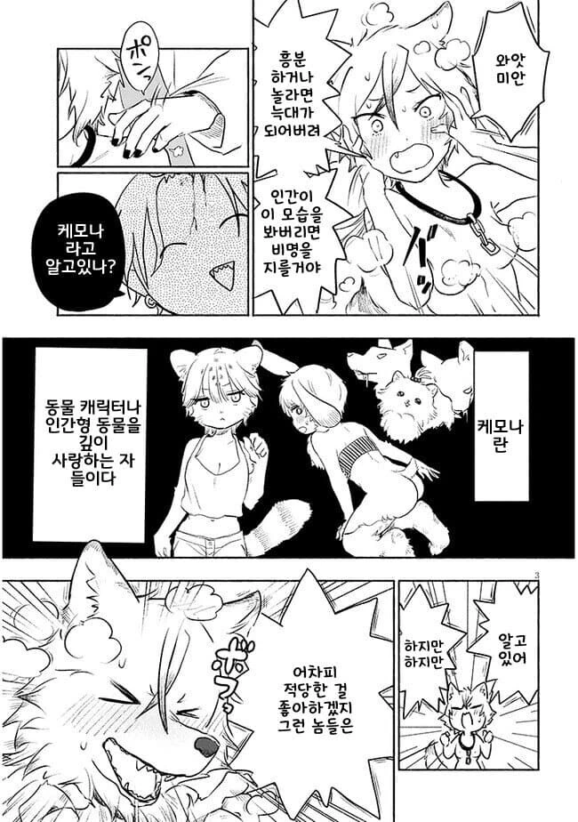 늑대인간 결혼시키는 만화 - 이미지 3