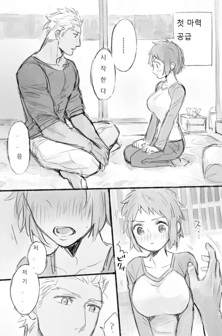 Fate)시로가 함몰인 만화