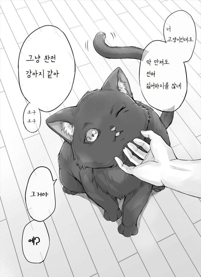 독점욕이 강한 고양이 만화 - 이미지 3