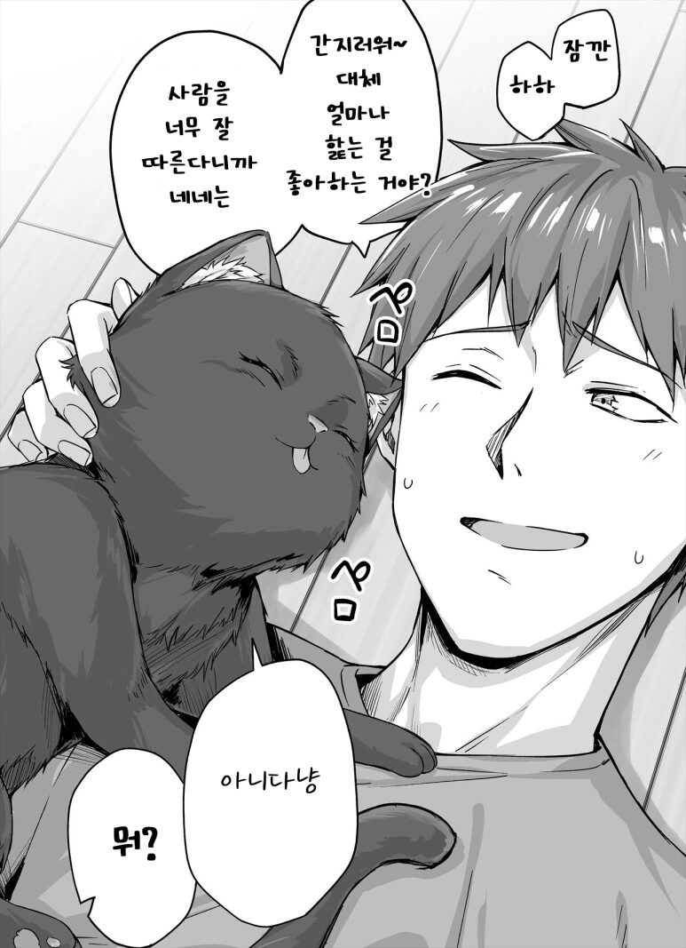 독점욕이 강한 고양이 만화 - 이미지 13