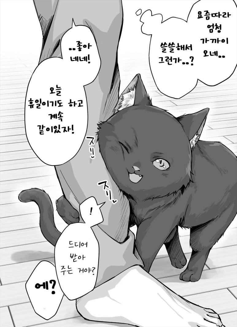 독점욕이 강한 고양이 만화 - 이미지 15
