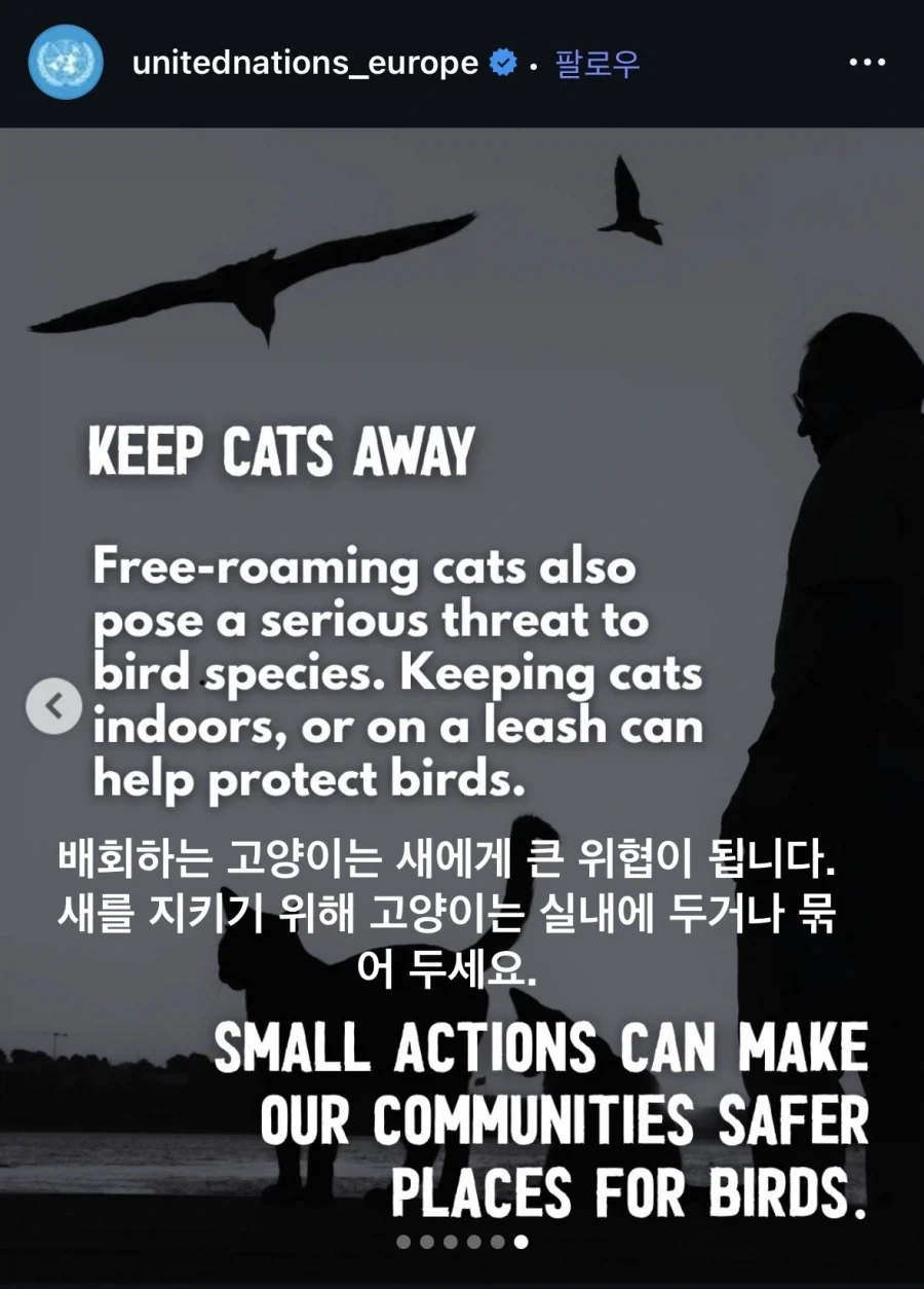 UN: 새를 보호하기 위해 고양이를 돌아다니지 못하게 하세요