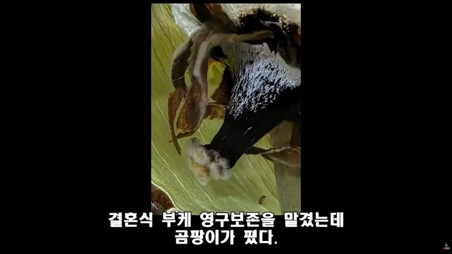 법대로 하시던가 의 결말 - 이미지 2