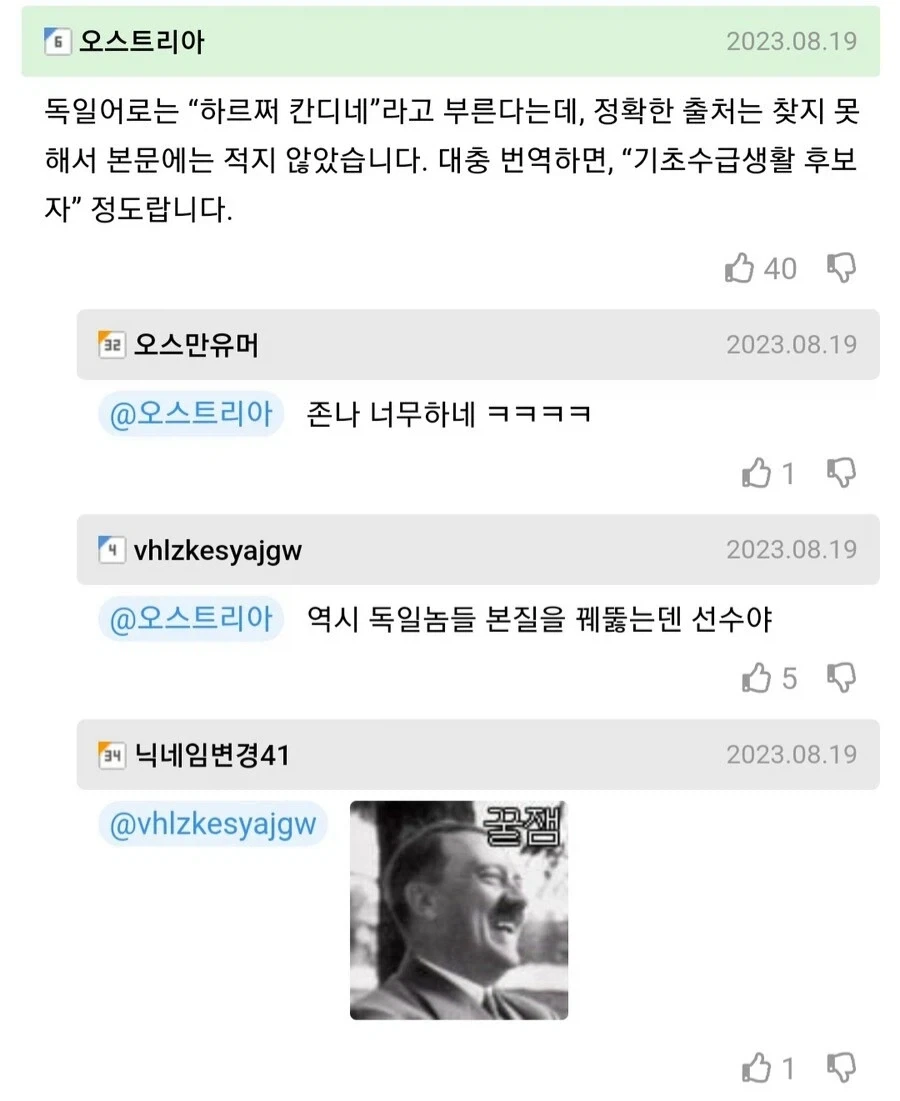 독일 출입국 관리원 앞에서 개그쳐서 15초만에 통과함.jpg - 이미지 2