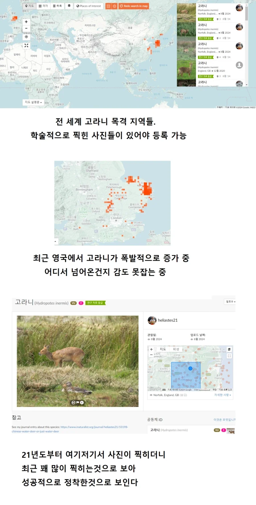 끄아아아앜—!!아아아아아악—!!퐠!!!꽈아악!!퀙!!!!그웨에에에엑—!끄어어어억