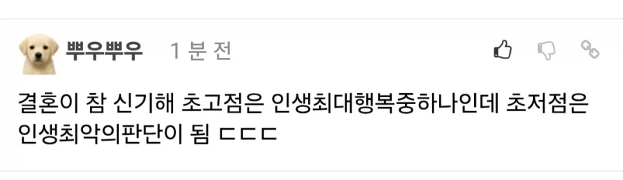 인생 최대의 극단적 선택.jpg