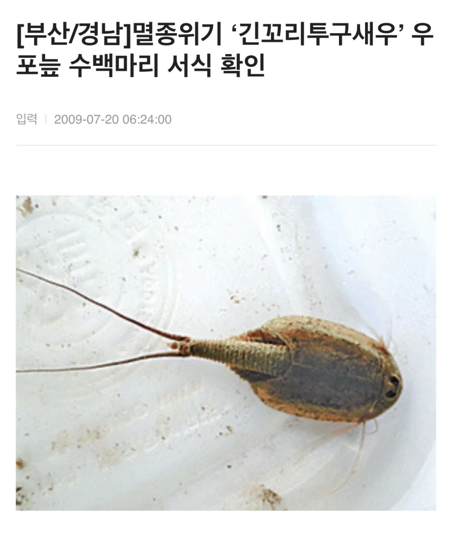 멸종위기종인 줄 알았던 동물