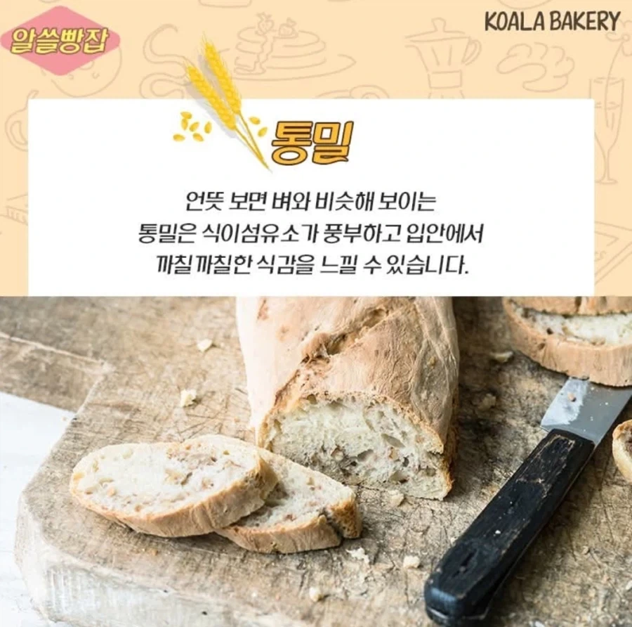 유럽권이 밀이 주식임에도 불구하고 당뇨가 상대적으로 낮은 이유