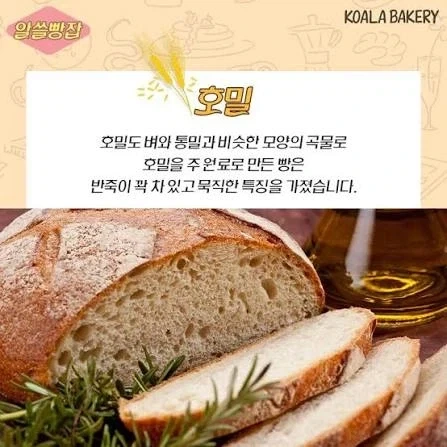 유럽권이 밀이 주식임에도 불구하고 당뇨가 상대적으로 낮은 이유 - 이미지 2