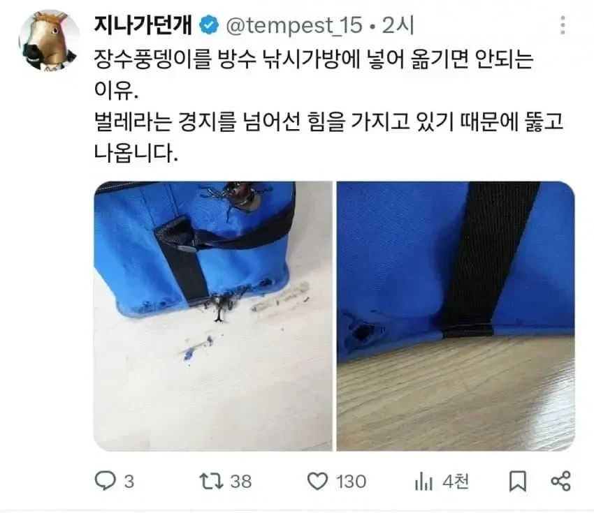 장수풍뎅이를 가방에 넣으면 안되는 이유.jpg