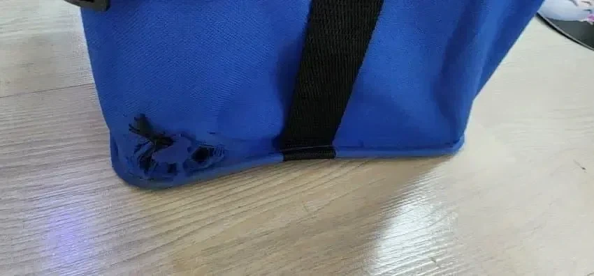장수풍뎅이를 가방에 넣으면 안되는 이유.jpg - 이미지 2