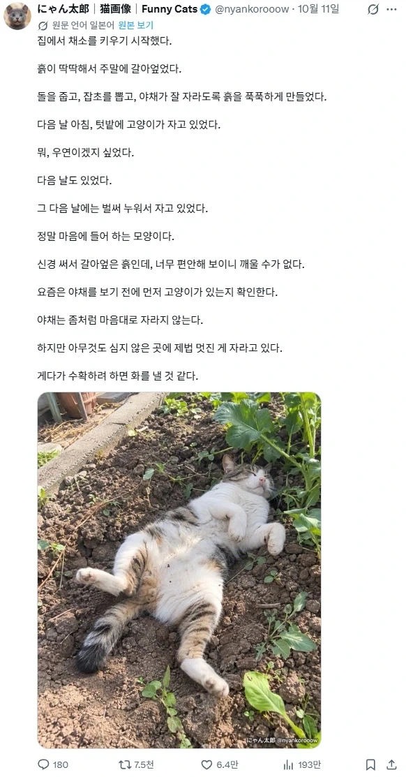 "흙이랑 친해야 건강해진다 카더라고......"