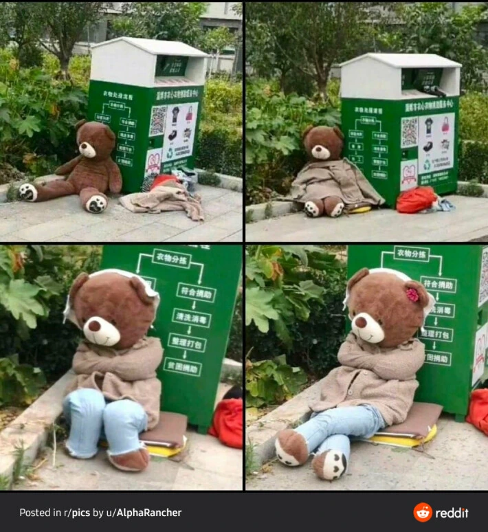 여유로운 삶을 즐기는 곰돌이