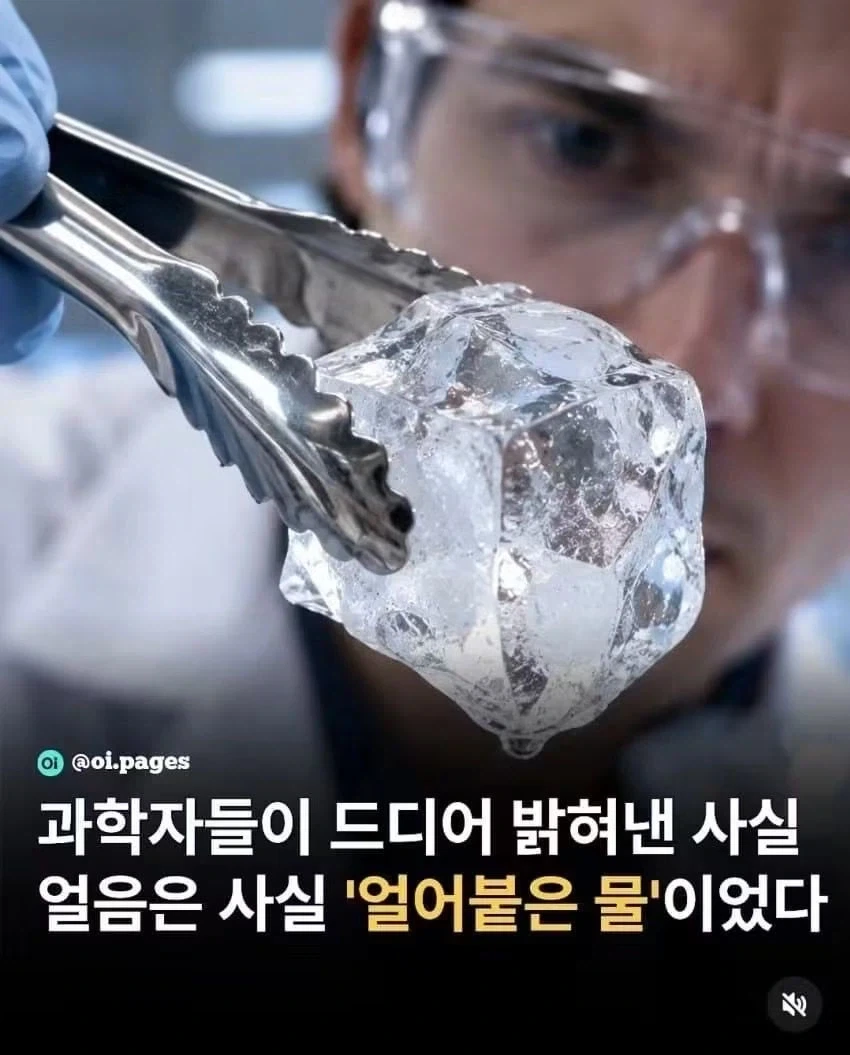 마침내 밝혀진 사실