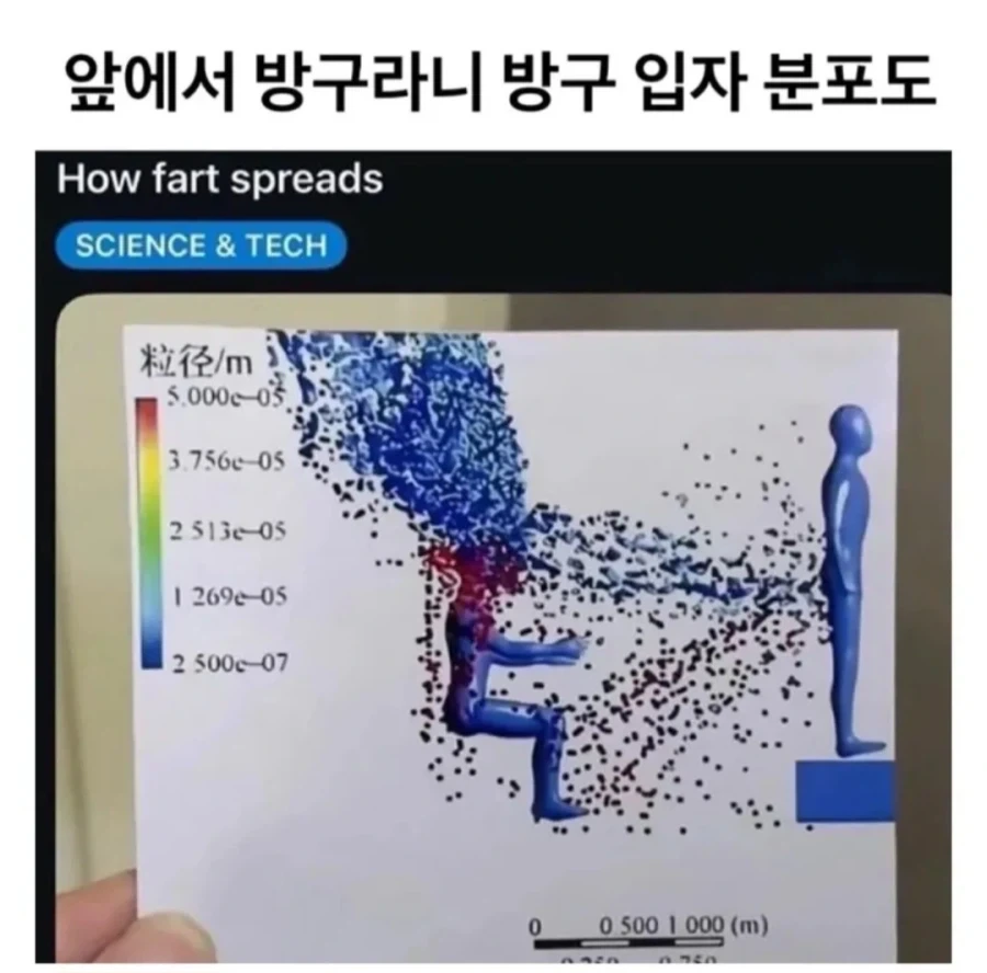 앞에서 방구라니 방구 입자 분포도