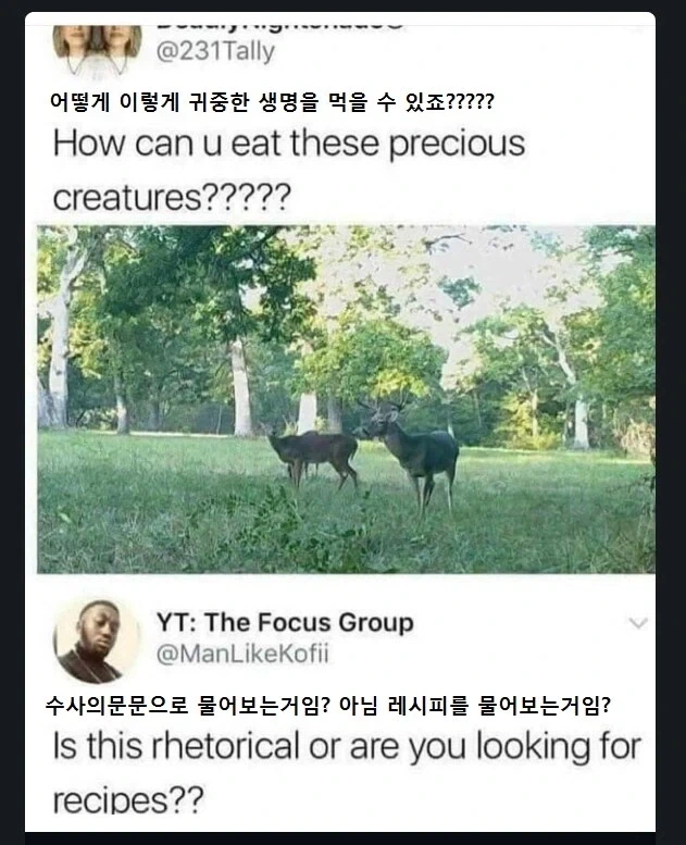 어떻게 이렇게 귀중한 생명을 먹을 수 있죠?????