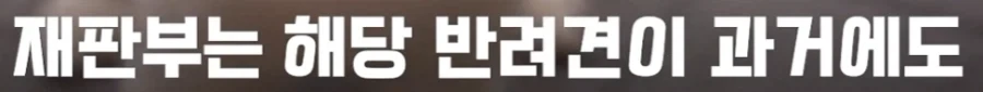 견주가 6300만원 배상 - 이미지 4