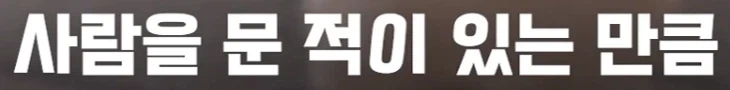 견주가 6300만원 배상 - 이미지 5