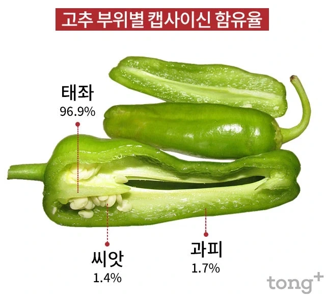 자지 의외의 상식