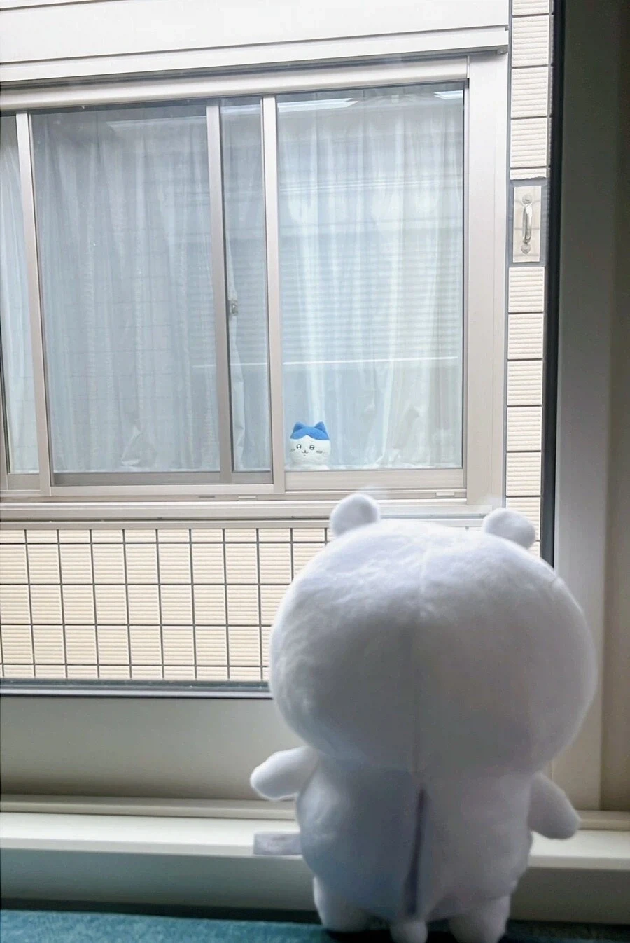 치이카와)아련