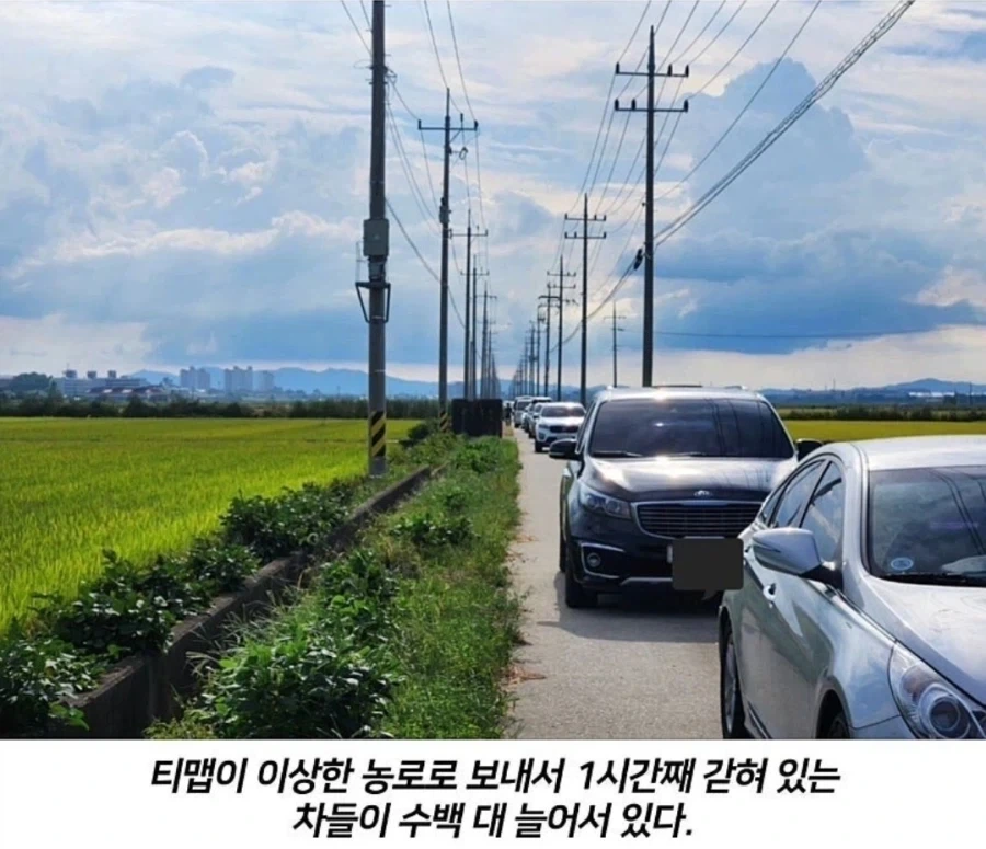 티맵의 농락 - 이미지 6
