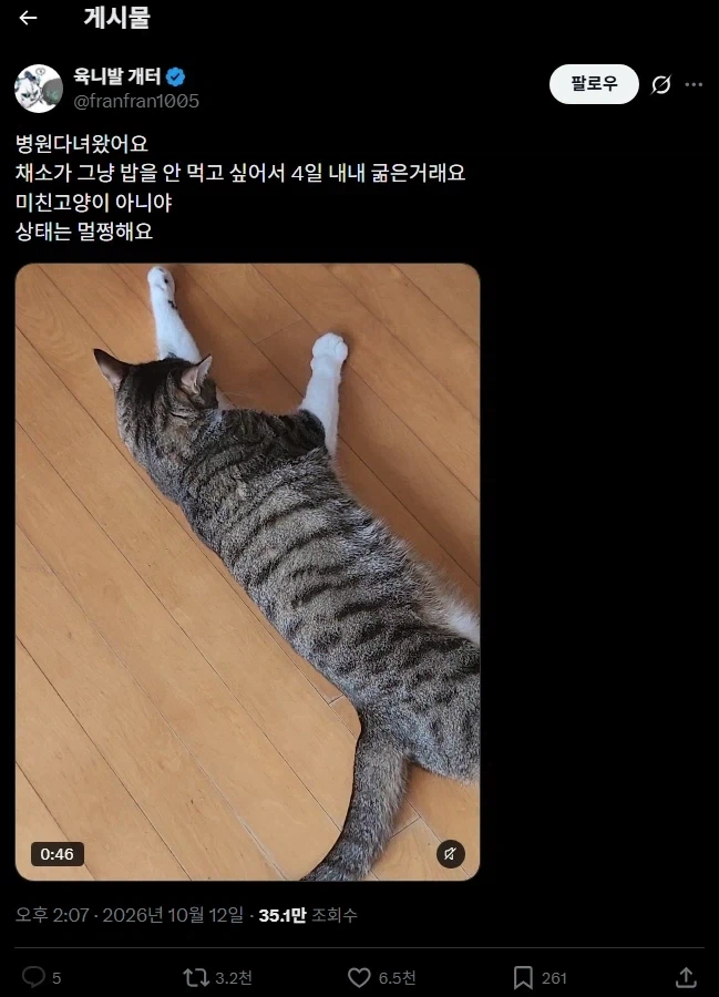 우리애가 밥을 안먹어요ㅠㅠ