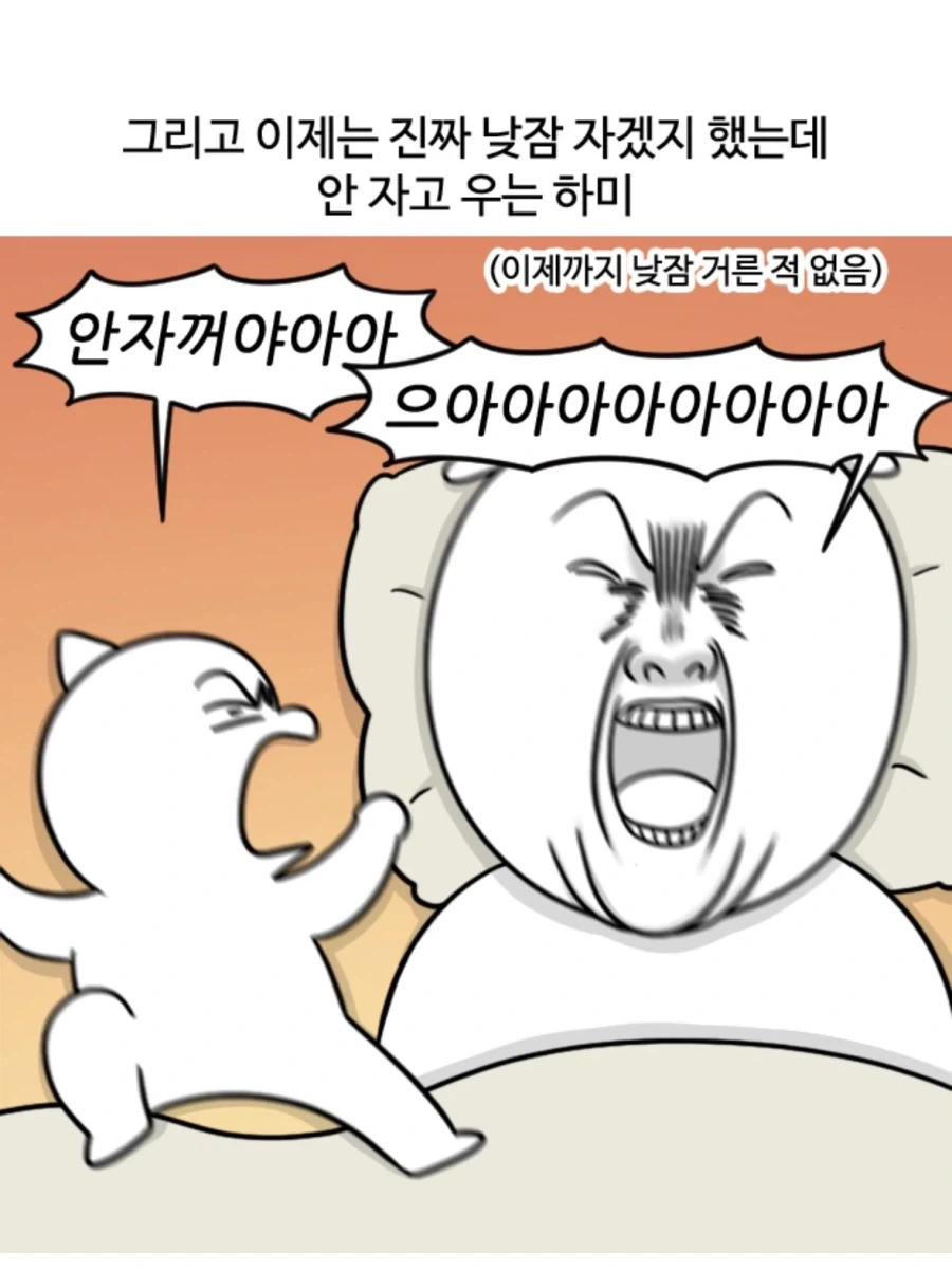 낮잠을 자지않은 아기를 재우는법