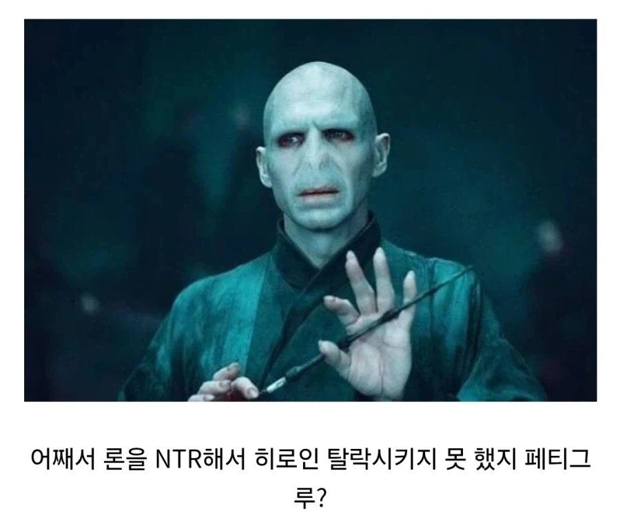 해리포터)순애의 마왕 볼디밈 아이러니 한점