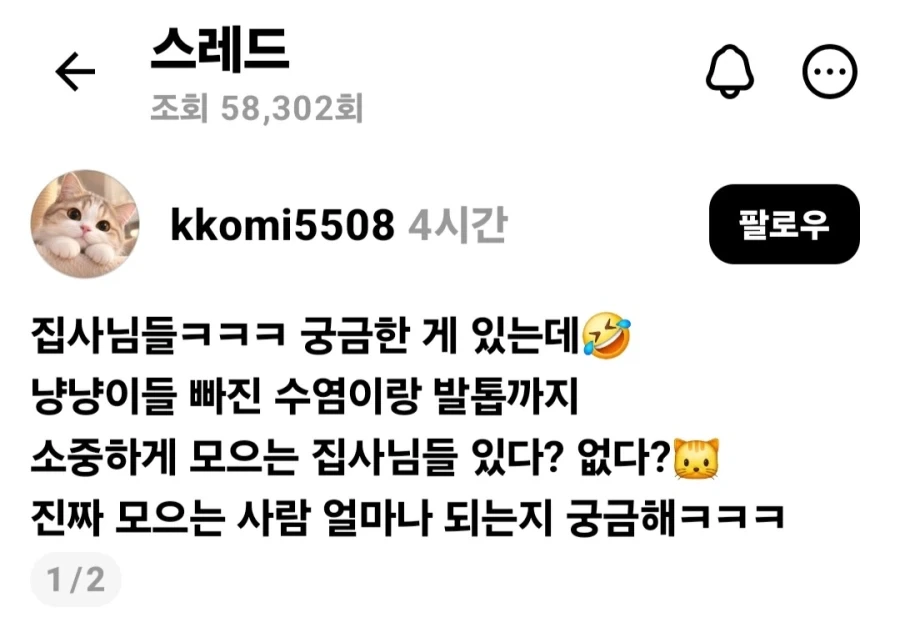 반려 고양이 흔적을 모으는 사람.jpg